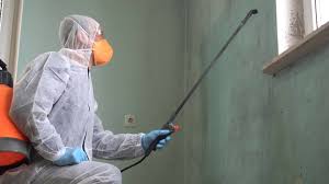 Trusted Pelican Bay, FL Mold Removal & Remediation Experts